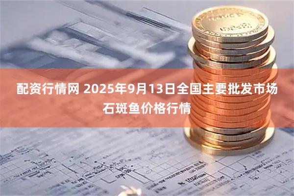 配资行情网 2025年9月13日全国主要批发市场石斑鱼价格行情
