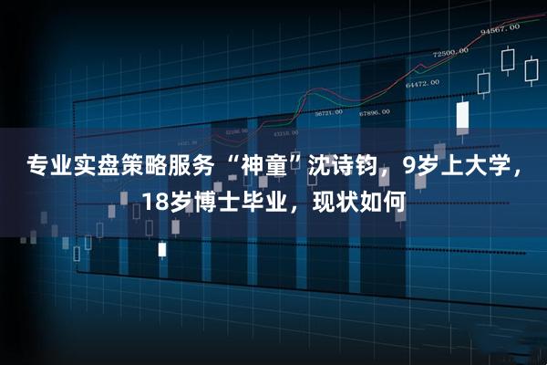 专业实盘策略服务 “神童”沈诗钧，9岁上大学，18岁博士毕业，现状如何