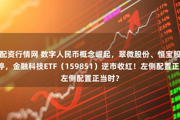 配资行情网 数字人民币概念崛起，翠微股份、恒宝股份涨停，金融科技ETF（159851）逆市收红！左侧配置正当时？